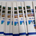 WhatsApp Image 2026-02-10 at 1.36.09 PM